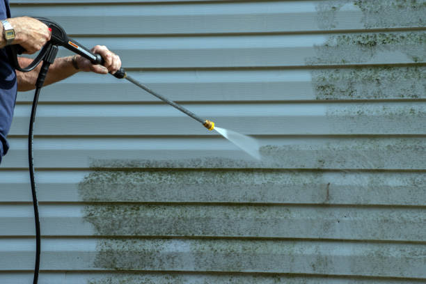 Best Roof Pressure Washing  in Whitesboro, TX
